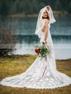 Tulle V-neck Trumpet/Mermaid Court Train Appliques Lace Wedding Dresses #LDB00023726