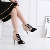 Women's Peep Toe Velvet Zipper Stiletto Heel Dance Shoes #LDB03031315