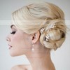 Hairpins Alloy As the Picture Headpieces #LDB03020271