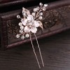 Hairpins Alloy As the Picture Headpieces #LDB03020375